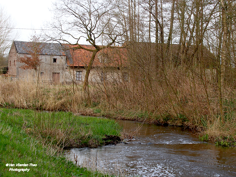 P3191017.JPG
