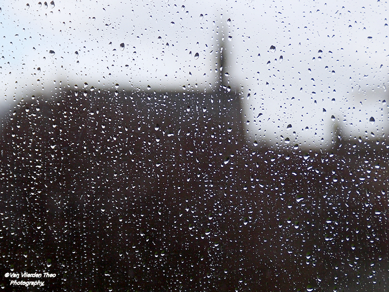 P1035970.JPG