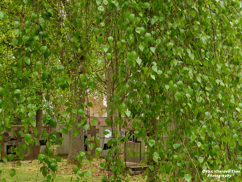 P4162177.JPG