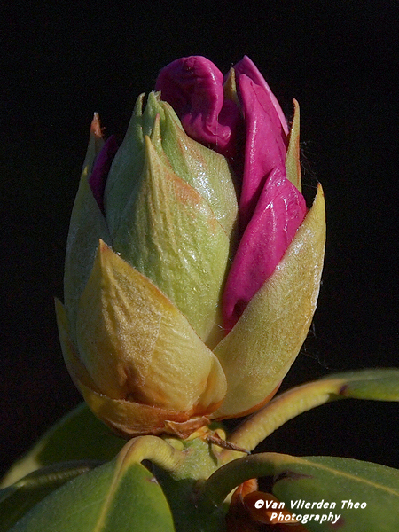 P4302405.JPG
