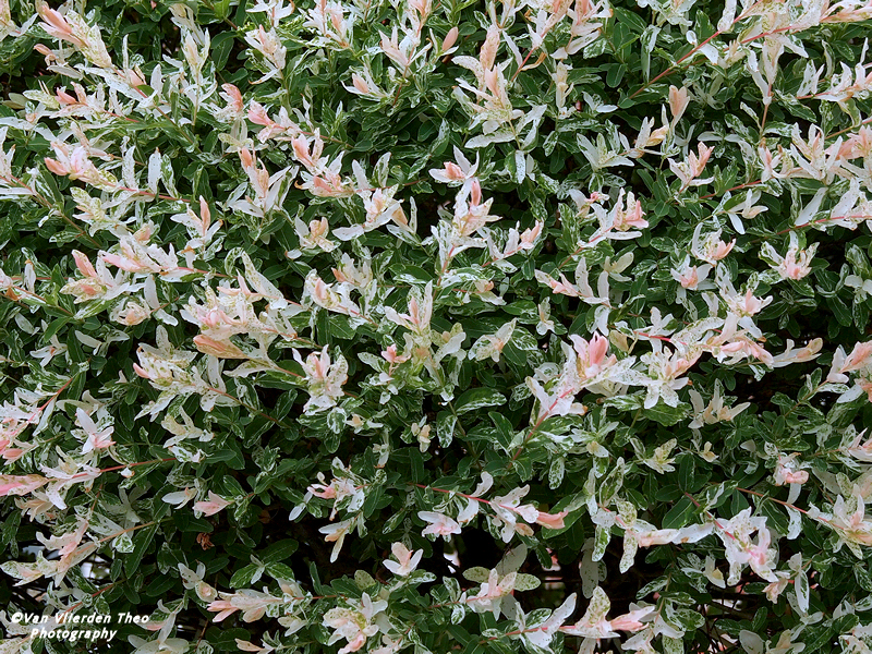 P5072642.JPG